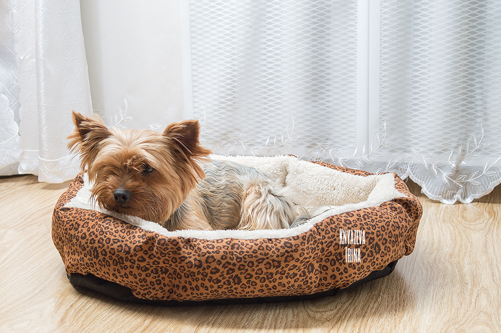 Hot sales! NEW! Colorful Leopard print Pet Cat and Dog bed  Pink, Blue, Yellowish brown, Deep pink, SIZE M,L