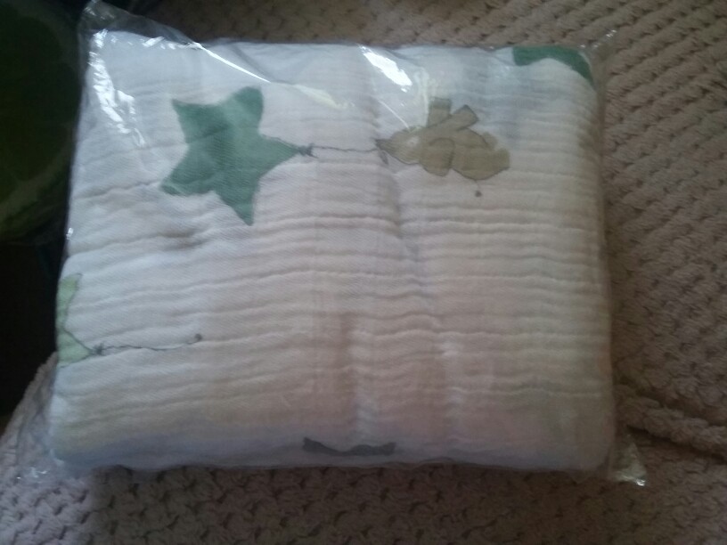 Baby Blanket Aden anais Autumn Newborn Supplies Baby Gauze Holds Soft Blankets Thickening 100%Muslin Cotton 2 Layers With Label