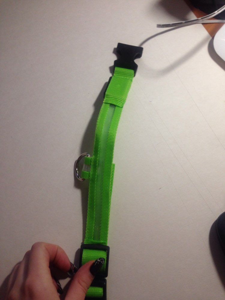Nylon Pet LED Dog Collar Night Safety LED Flashing Glow LED Pet Supplies Dog Cat Collar Small Dogs Collars with CR2016 Battery