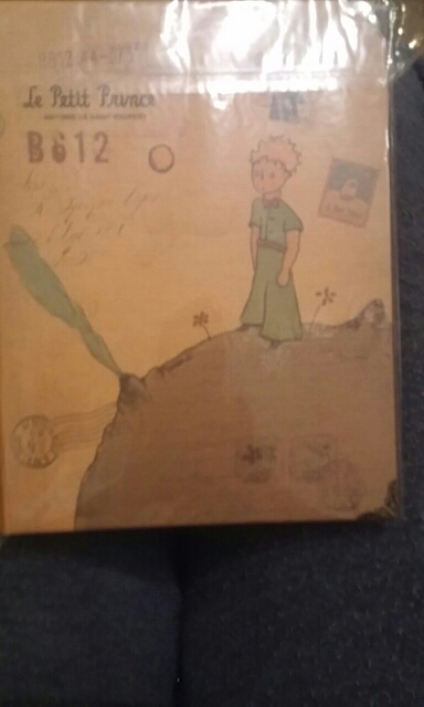 Vintage hardcover the Little prince Dairy notebook with monthly/weekly planner