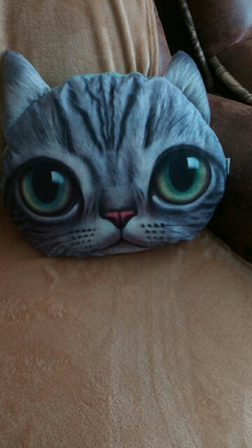 40cm*38cm New Pillow cushion Personality Car Cushion Creative Cat shape Nap pillow Cute seat cushion,SKU 1408S2C01