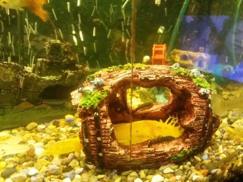 Free shipping Aquarium Fish Tank Artificial Barrel Resin Ornament Cave Landscaping Decoration