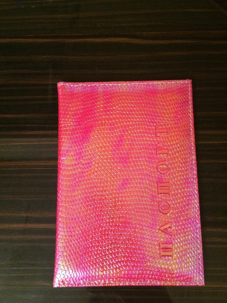 ZS 2015 6 Color new Wholesale shiny lizard grain passport cover passport bag clip for leather passport case