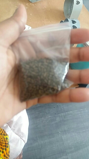 Cassia tea Chinese natural pure material Cassia seed Tea herbal tea to laxative Detox Liver eyesight loss weight H42