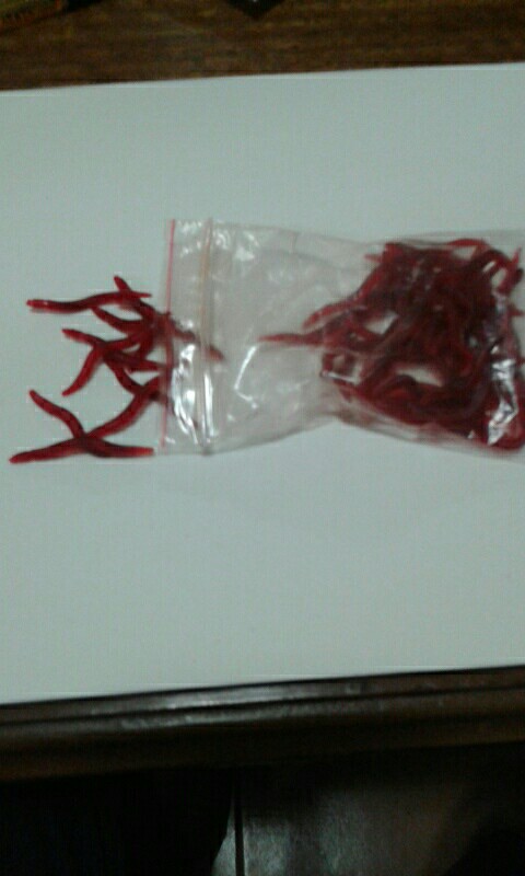 Hot selling! 50Pcs/Lot 11grams  earthworm plastic lures Artificial Fishing Bionic soft Lures  red worms bait fishing lure