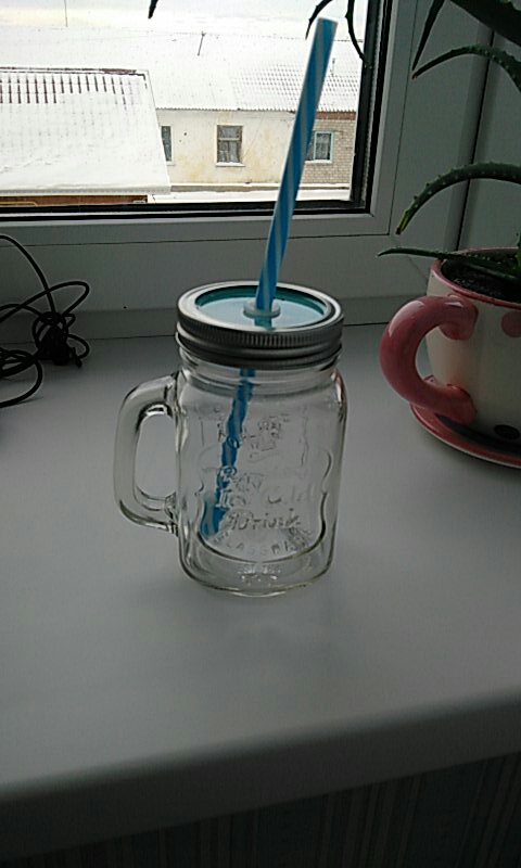 Summer Ice cream Fruit Installed Cold Drink Infusion Bottle To Drink Cute Water Bottles Mason Jar Mug Jarras Home Camping use