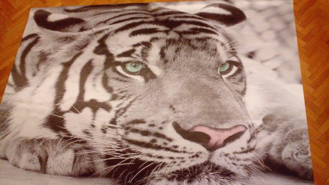 photo wallpaper Tiger black and white animal murals entrance bedroom living room sofa TV background wall mural wall paper