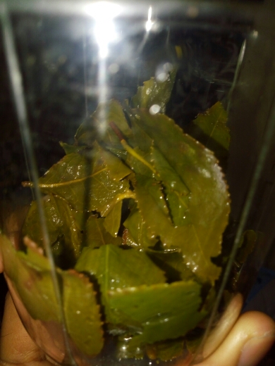 Cha Wu[D]-Fragrant Tieguanyin Tea 250g,Chinese Anxi Tieguanyin Tea Oolong,Tie Guan Yin Tea 1725, Teguanin  Oolong Tea,Hot Sale!