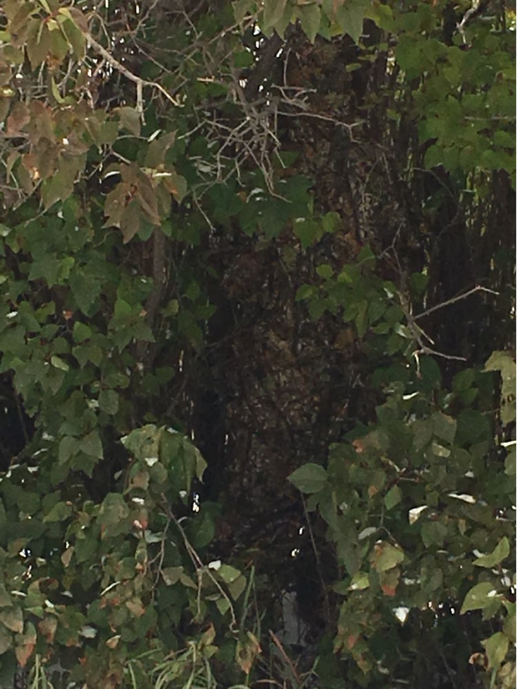 NEW ARRIVAL CS 3D Tactical Yowie sniper Camouflage Clothing ,Bionic ghillie suit ,Camouflage Hunting clothes,