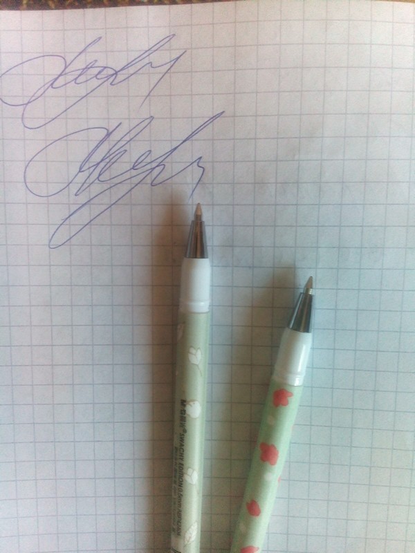 2pcs/ lot FRESH Flowers Story series Ballpoint pen/Good quality/School supplies/ stationery/papelaria WJ0086