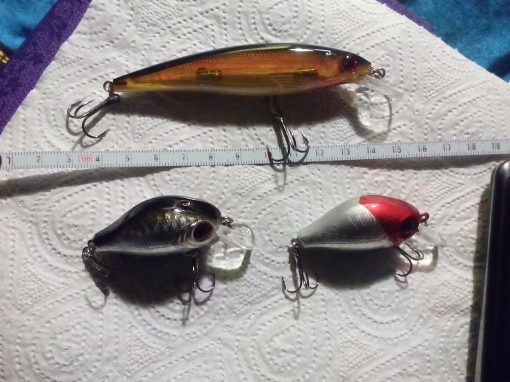 Brand Lifelike VIB Floating Fishing Lure 5.5CM 9G Pesca Hooks Fish Wobbler Tackle Crankbait Artificial Japan Hard Bait