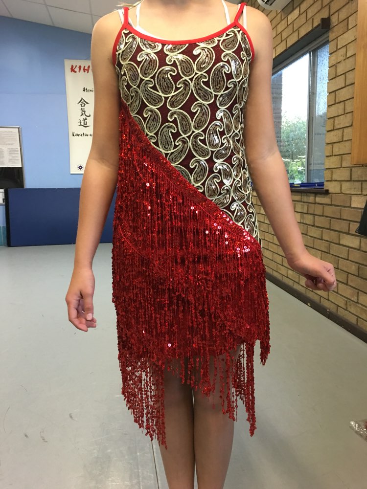 Sequins Fringes Skirt Women Latin Tango Ballroom Salsa Dance Dress Party Costume Tassel Dresses