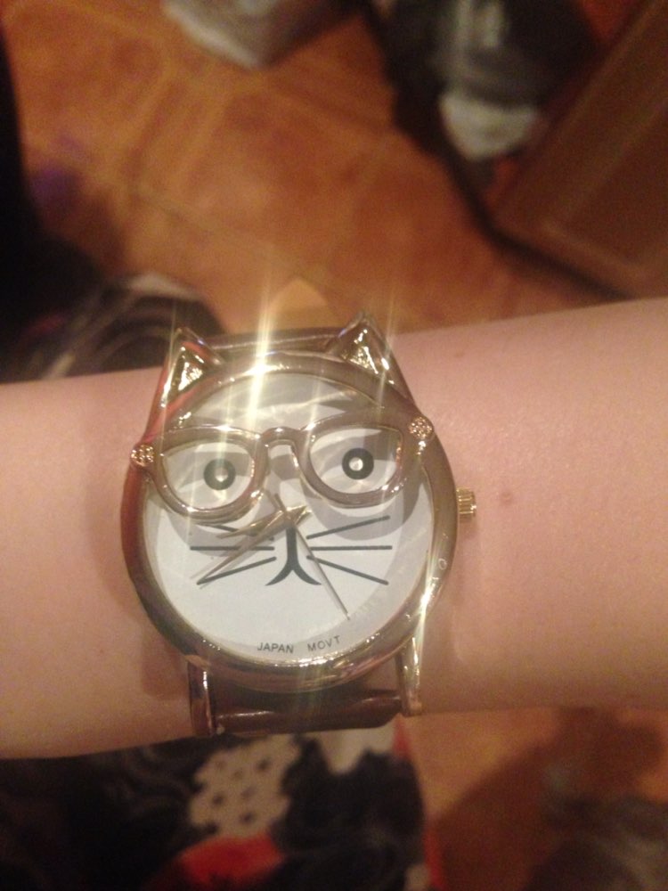 Spl Luxury Brand Women Clock Cute Glasses Cat Women Quarts Watch Brand Lovers Watch Women Leopard Lrint Leather Casual Watch