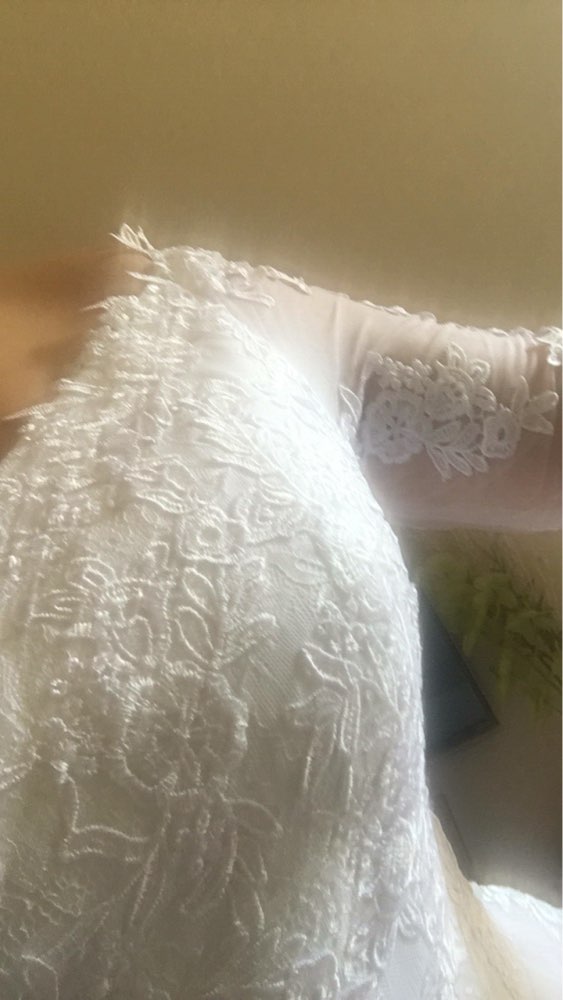 ANTI Romantic 2017 Ball Gown Wedding Dress With Long Sleeves Appliques Detachable skirts Train Robe De Mariee Bridal Gowns 44YSB