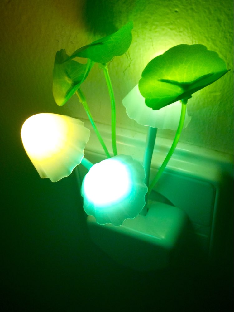 Novelty US & EU Plug Night Light Induction Dream Mushroom Fungus LED Lamp 3 LEDs Mushroom Lamp led night lights Luminaria