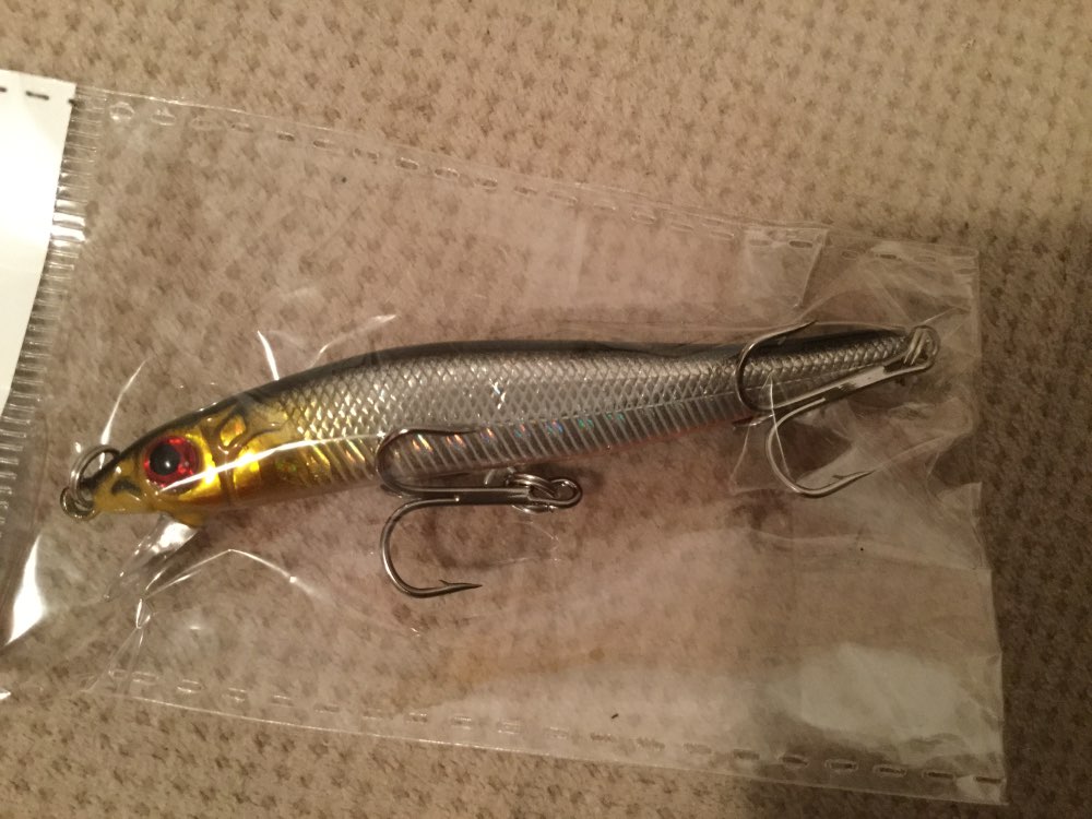 Brand Fishing Lure Hard Bait Tight Wobble Slow Floating Jerkbait High Quality ABS Model 6.7g 9cm Minnow Crankbait
