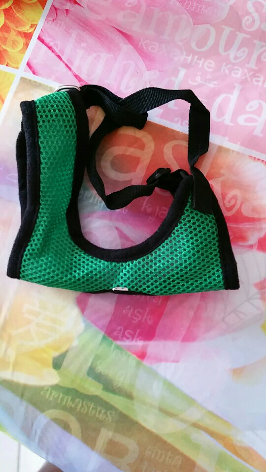 3 Colors Nylon Pet Mesh dog Harness Strap Vest Collar For Small Medium-sized Dog leads Puppy Comfort Harness Cloth For Dog pet