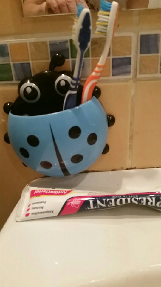 New Hot 4 colors cute ladybug cartoon sucker toothbrush holder hooks / items for home suction / brush rack / bath set  SW10