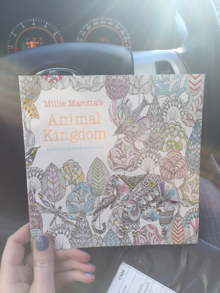 24 Pages Animal Kingdom English Edition Antistress Coloring Book For Children Adults Graffiti Painting Drawing Art Book