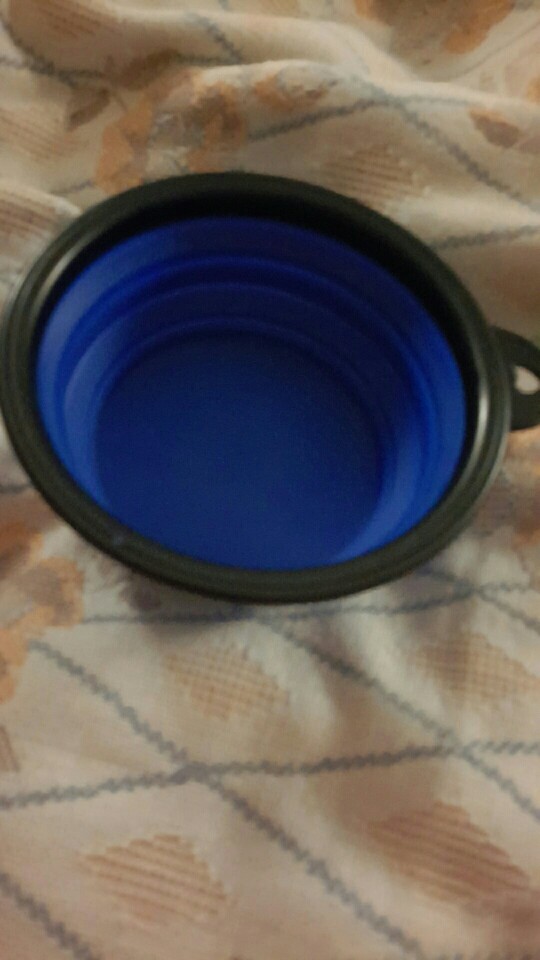 New Collapsible foldable silicone dow bowl candy color outdoor travel portable puppy doogie food container feeder dish on sale