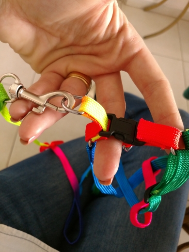 1 PCS Adjustable Rainbow color Pet Dog Leash Small Puppy Cat Rabbit Kitten Nylon Leash Harness Collar Lead 