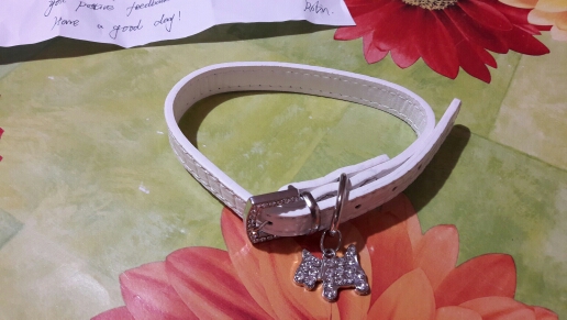 Bling Rhinestone Crystal Leather Pet Dog Cat Collars Adjustable Collar with Pendant