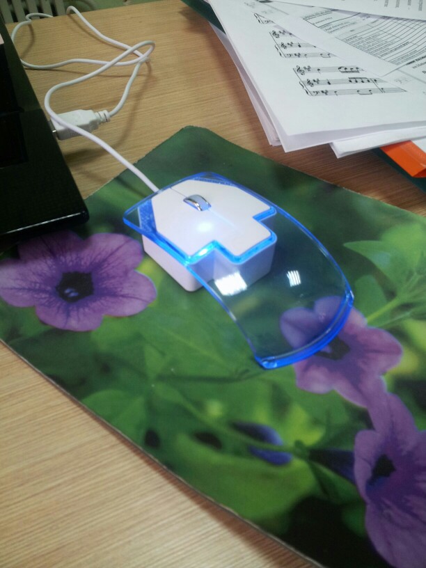 Top Sale Transparent Led Optical Wired Mouse Beautiful Blue Light USB Mouse Mice For Computer PC Laptop Desktop
