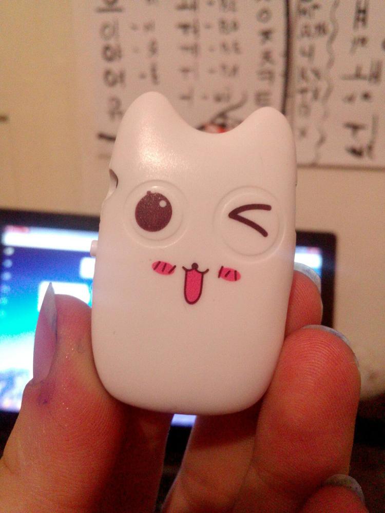 Leisure Smille Cat Totoro Cartoon Cat Mini MP3 Music Player with TF Card Clot with 4 Styles for Touch-Tone