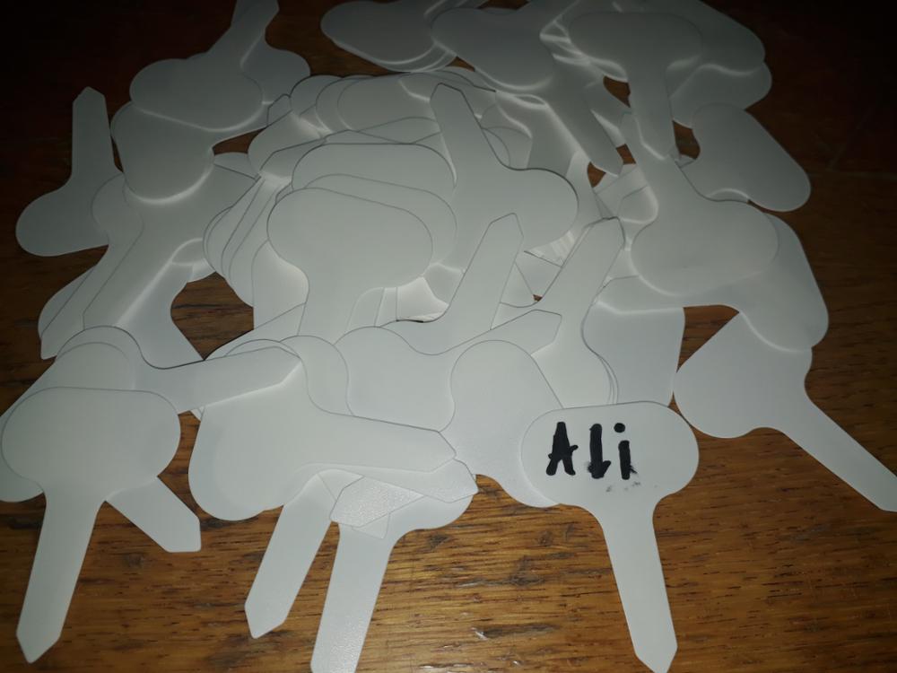 100Pcs  6.8*4.8cm Flower Tag Mark T-type Gardening Label Nursery Plastic Plant Label Garden Ornaments White