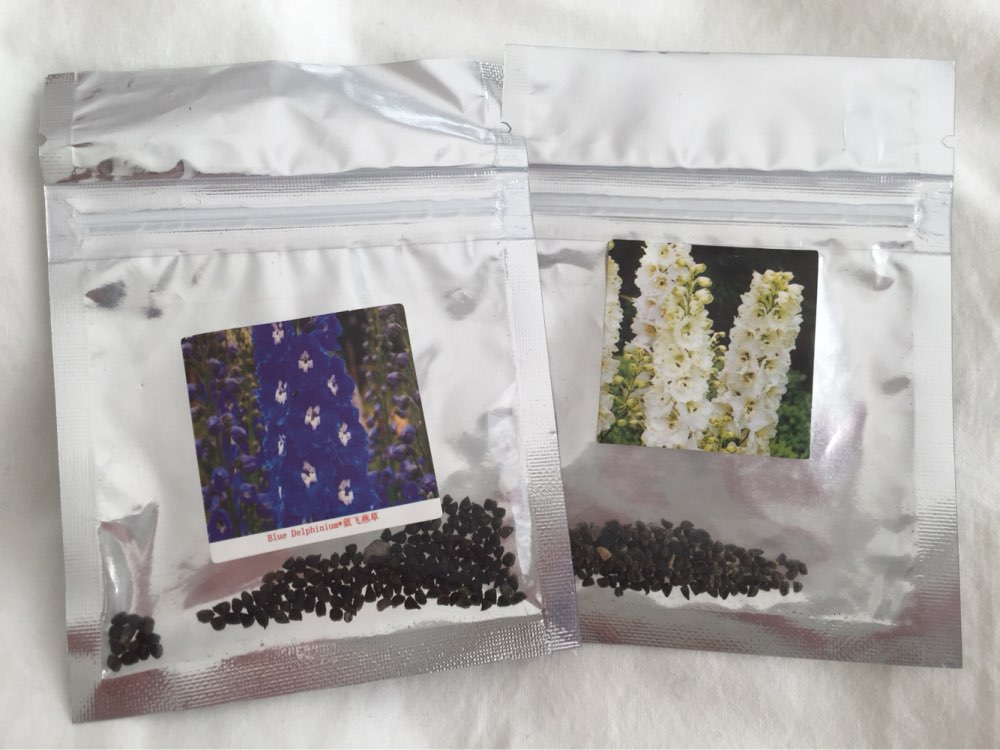 Flower seeds Delphinium Seeds beautiful Flower Plant  home garden flower plant  AA