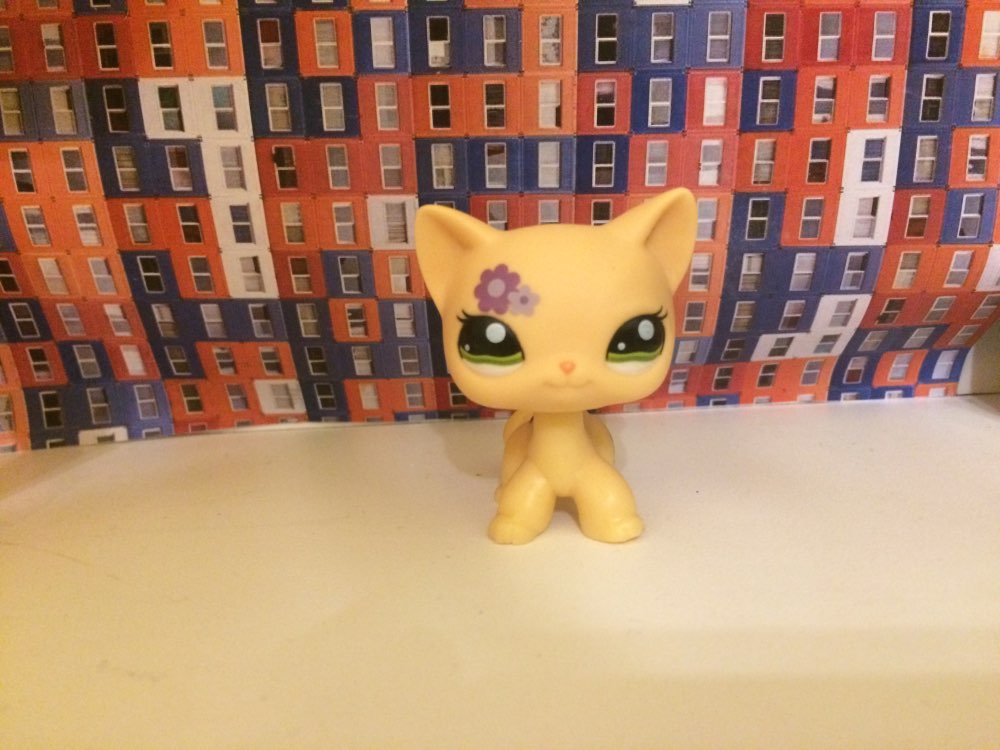 pet Genuine Original Standing Cat #1962 Short Hair Yellow Purple Flowers LPS