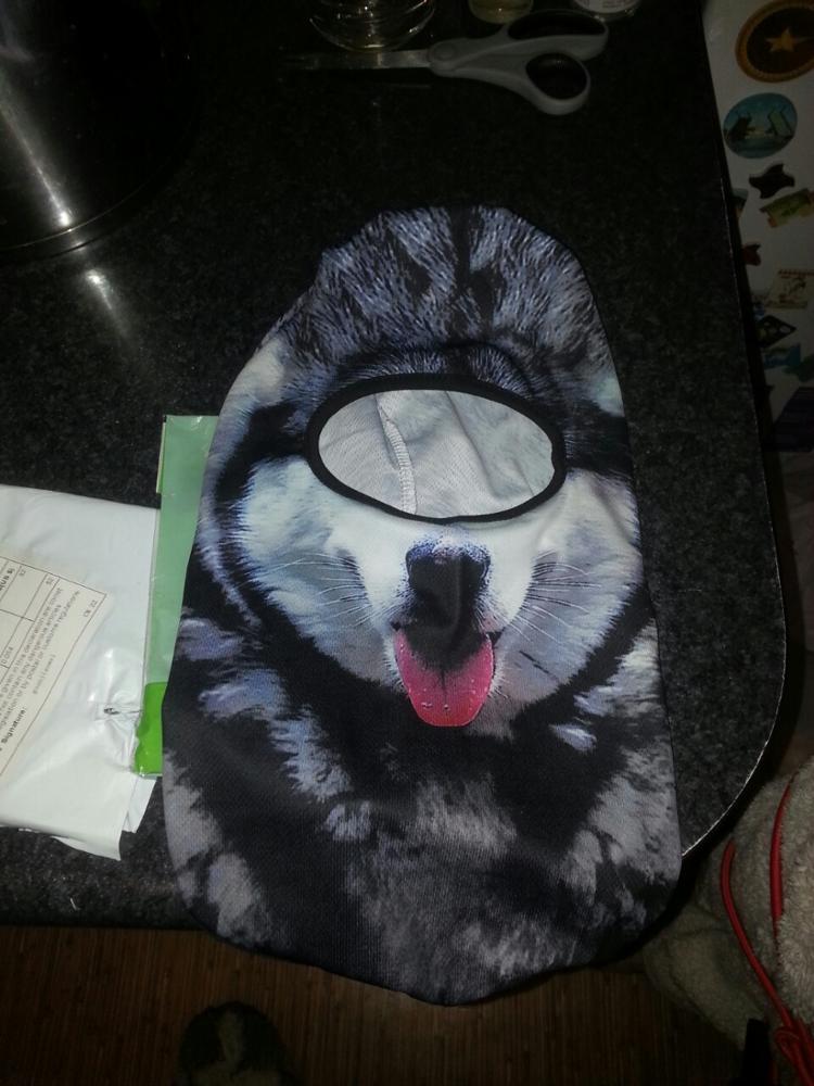 Hot Sale 2016 3D Cap Dog Animal Outdoor Sports Bicycle Cycling Motorcycle Masks Ski Hood Hat Veil Balaclava UV Full Face Mask