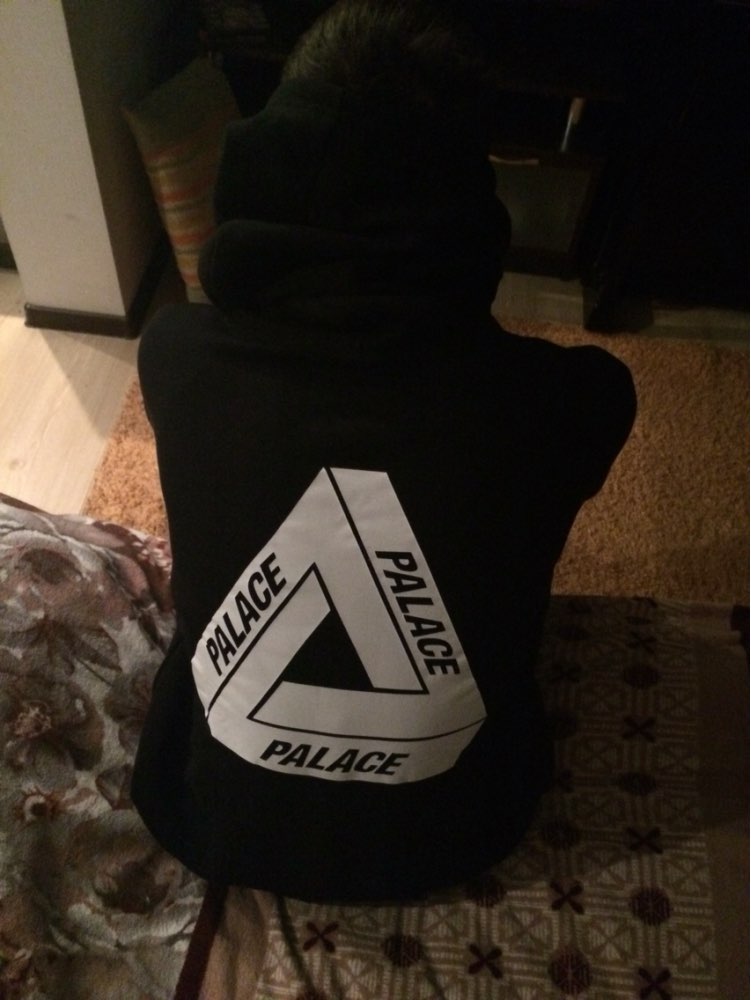 2016 Spring Palace Skateboards Hoodies Men Cotton Hip Hop Hoodies Sweatshirt Men Thrasher Hoodies Off white Hba Hombre