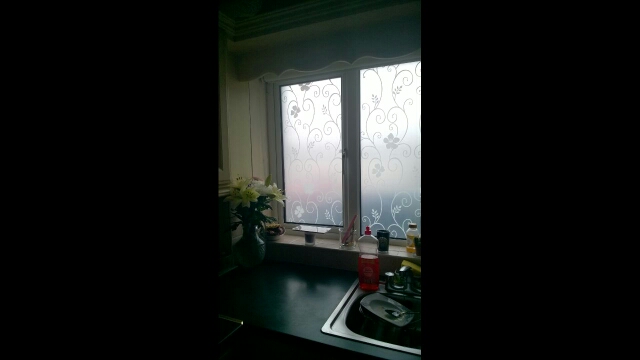 45/60/75/85cm*300cm top grade colours self adhesive decorative frosted privacy Glass Window Film Decals 9519