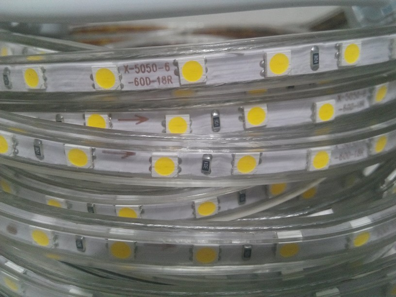 YL LED Strip 5050 Waterproof IP67 Waterproof AC 220V LED Flexible Strip 60leds/m 5050SMD LED Flexible Light With Power EU Plug