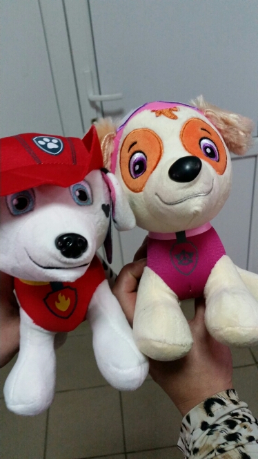 20-30cm Canine Patrol Dog Toys Russian Anime Doll Action Figures Car Patrol Puppy Toy Patrulla Canina Juguetes Gift for Child