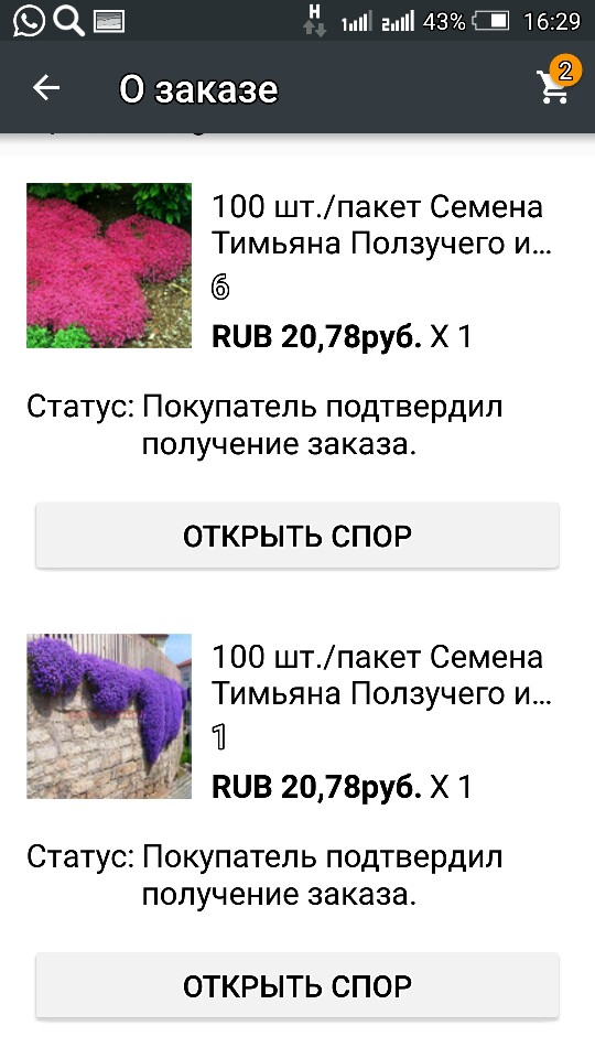 100pcs/bag Creeping Thyme Seeds or Blue ROCK CRESS Seeds - Perennial Ground cover flower ,Natural growth for home garden