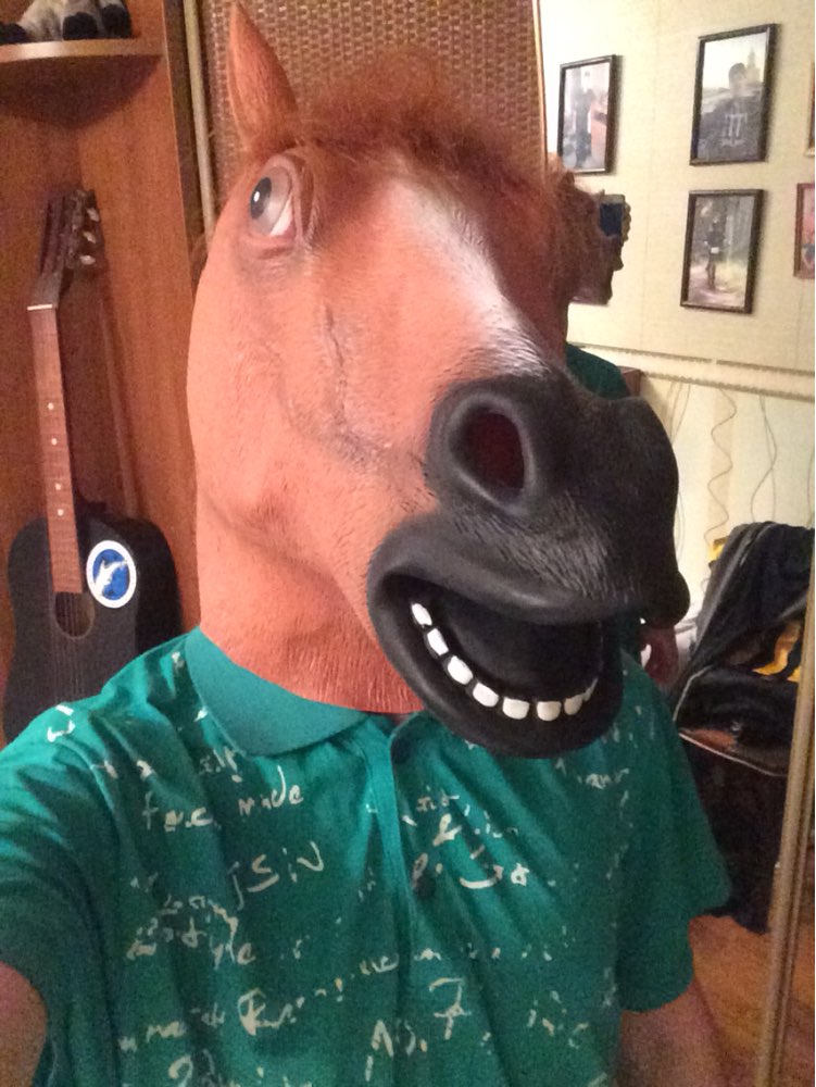 Horse Head Mask Animal Costume n Toys Party Halloween