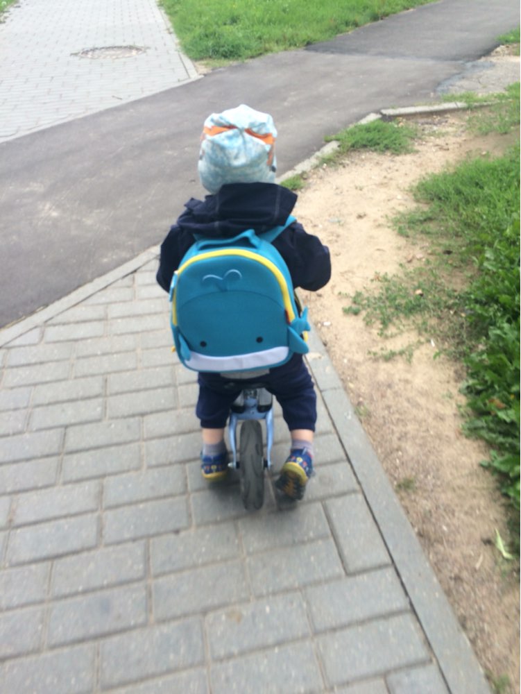 NOHOO Children School Bags Waterproof Cartoon Animals School Backpacks for Kids Large Capacity Backpacks for Children
