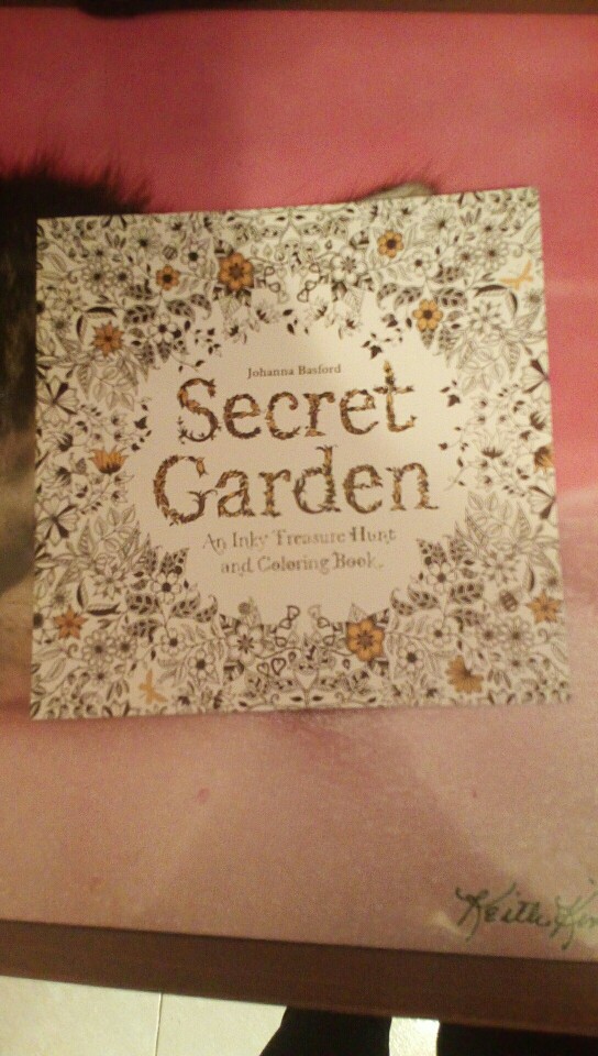 24 Pages Relieve Stress For Children Adult Painting Drawing Book Secret Garden Kill Time Coloring Book