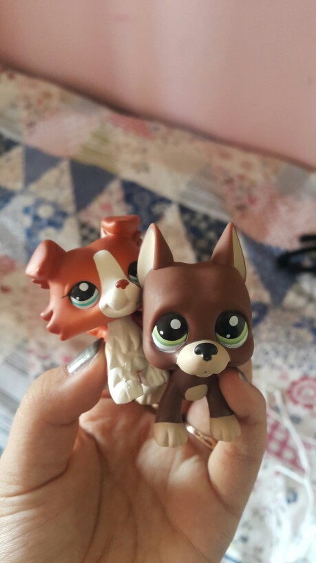Lovely Pet Collection LPS Figure Toy #1542 Brown Collie Dog Puppy Blue Eyes Nice Gift Kids