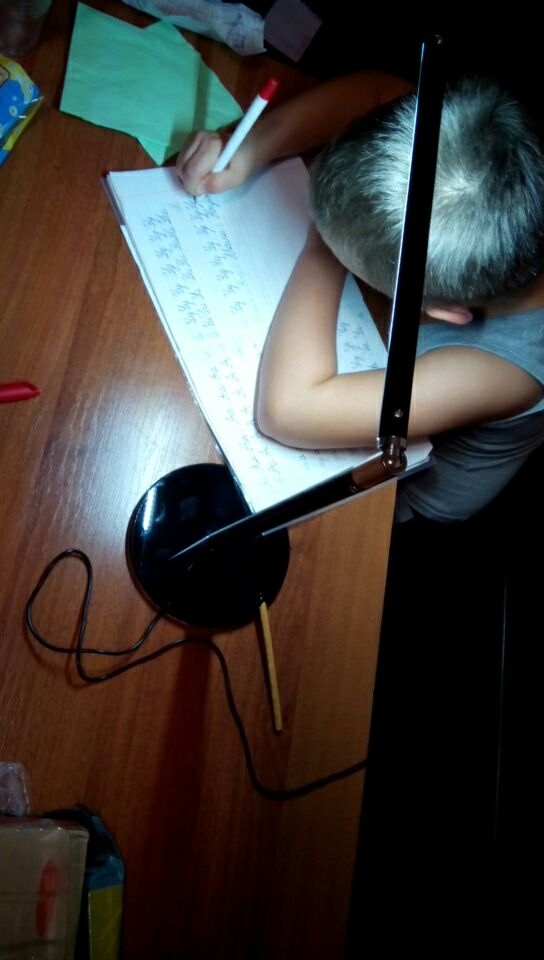 Reading Light USB Night Lights USB/AC110-260V 24 Led Power Eye Protective LED Table Lamp Desk Lamp Reading Lights USB