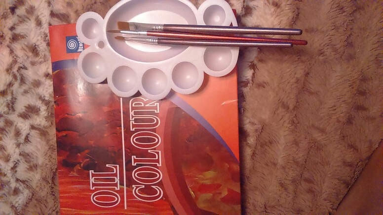 Memory brand oil colors paints fine painting supplies 24 colours 12ml tube offer brushes for free