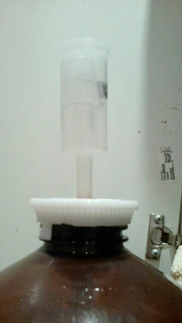 Cylinder Fermentor Airlock Grommet / Air Lock For Home Brew Wine Beer