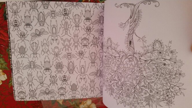 96 Pages English Secret Garden Coloring Books for Adults Kids Relieve Stress Kill Time Graffiti Painting Book Libros