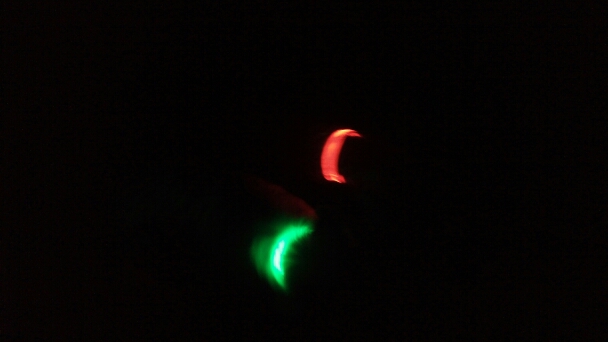LED Nylon Pet Dog Collar Night Safety Glow Flashing Dog Cat Collar Led Luminous Small Dogs Collars USB Rechargeable