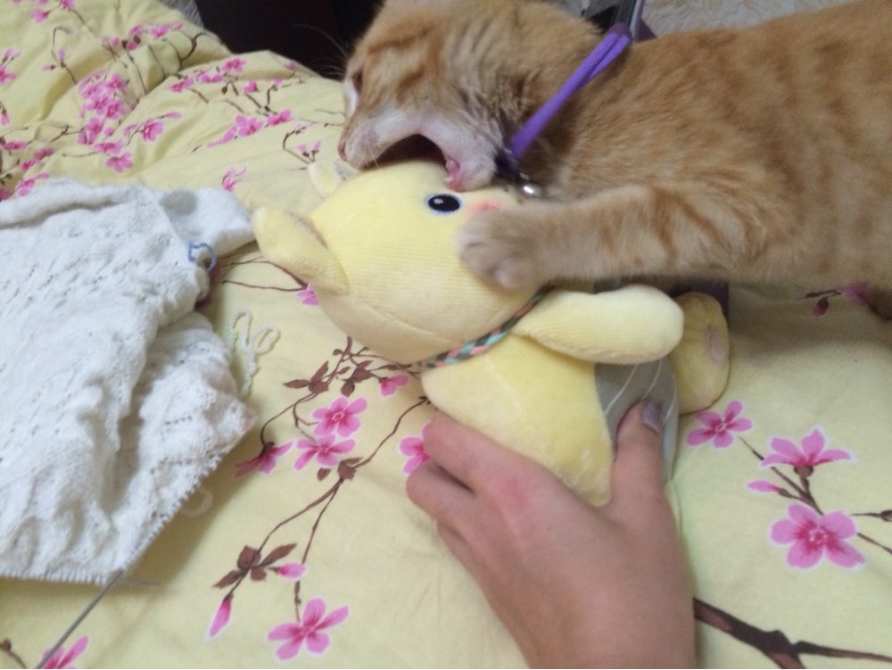 Plush Sweet Cute Lovely Stuffed Baby Kids Toys for Girls Birthday Christmas Gift Kawaii Dogs lovely Cats Doll Mini Metoo Doll