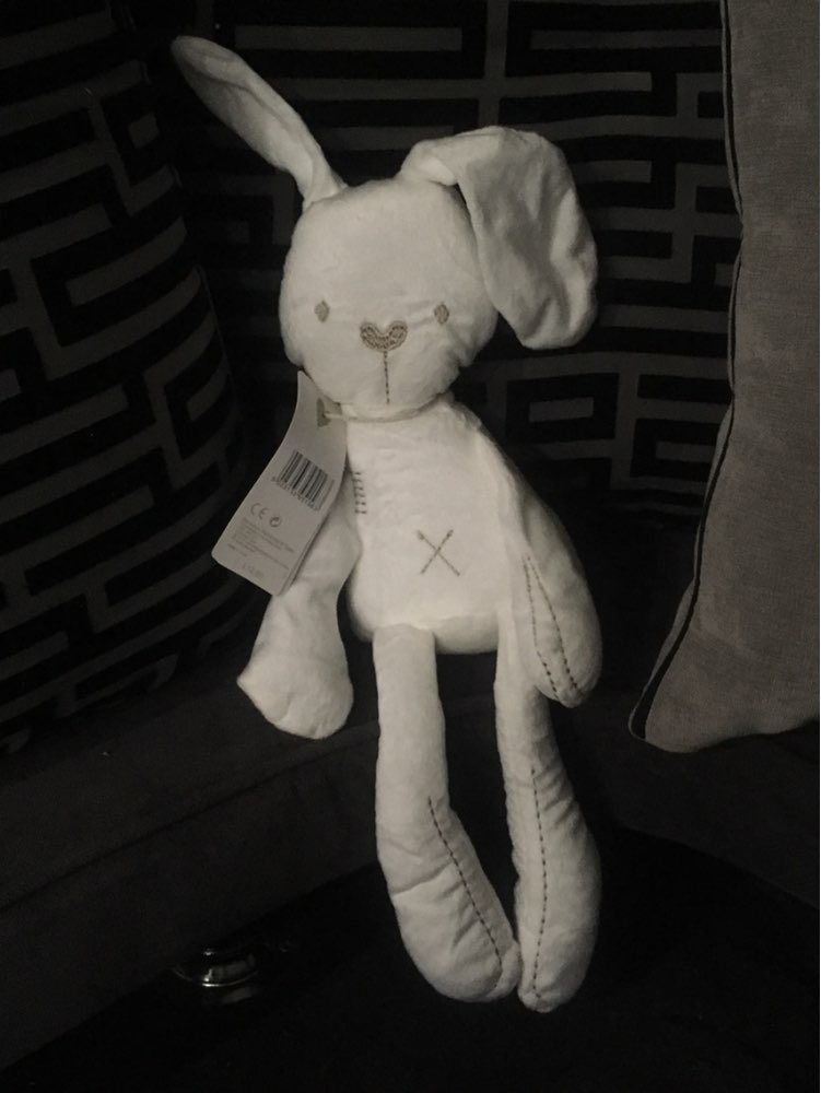 Hot Sale 50cm Mamamiya & Papas Baby Rabbit Sleeping Comfort Doll Plush Toy Millie & Boris Smooth Obedient Rabbit Sleep Calm Doll