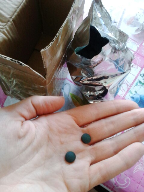 Natural Spirulina pills 1000PCS Genuine Spirulina Tablets 250g