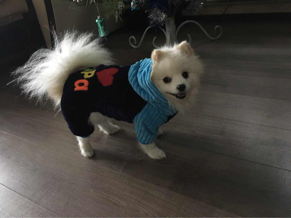 2016 Petcircle Fashion I love papa and mama  winter Pet Dog Clothes Clothing For Pet Small Large Dog Coat Winter Clothes Jackets